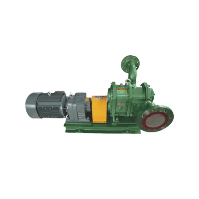 GS/DR series rotor pump